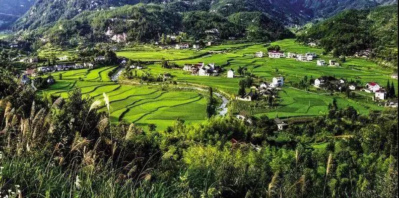 農(nóng)旅康養(yǎng)旅游項(xiàng)目，策劃才是靈魂！
